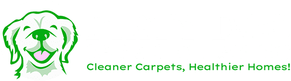 Dirty Dog Carpet Cleaning